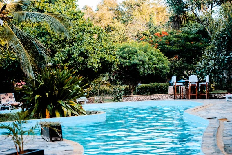 Best Plants And Trees for Around Swimming Pools